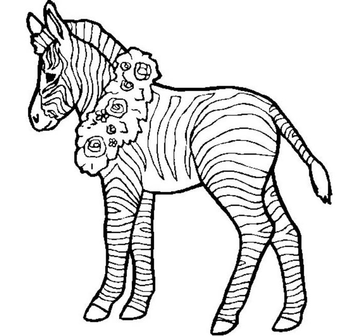 Zebra Coloring Pages Free Printable