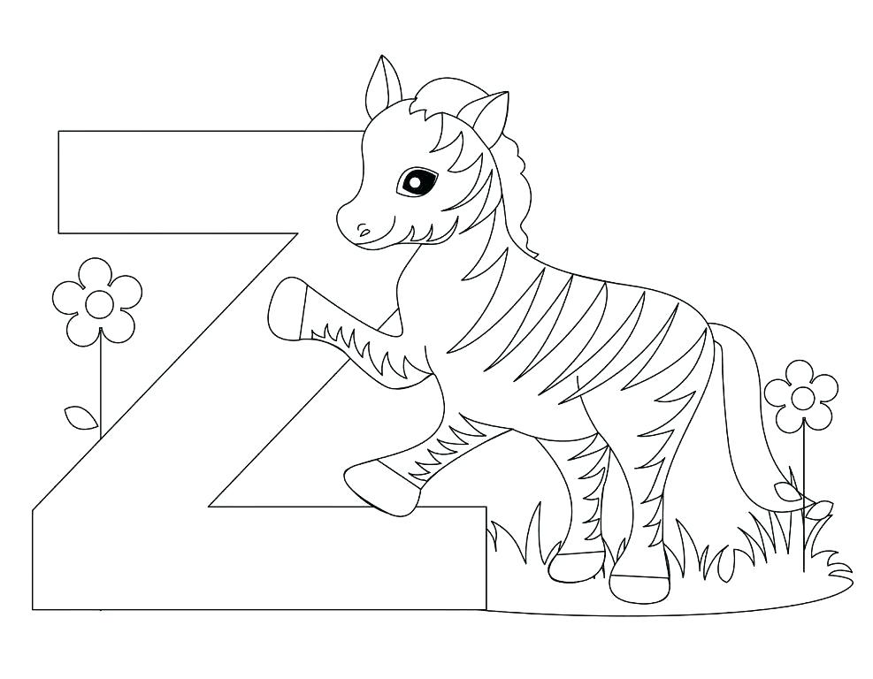987x768 Zebra Color Page Zebra Coloring Book Page Zebra Coloring Pages