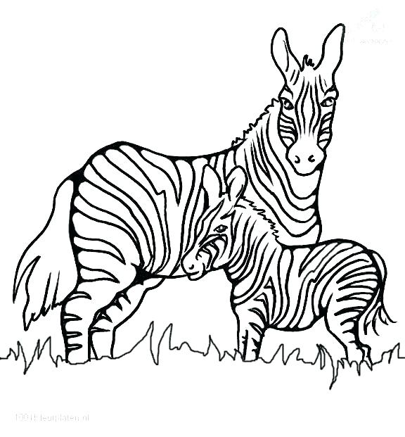 576x621 Animal Print Coloring Pages Jenonime Animal Print Coloring Pages