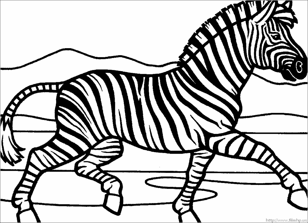 1058x768 Zebra Coloring Pages Free Printable Free Coloring For Kids 2018