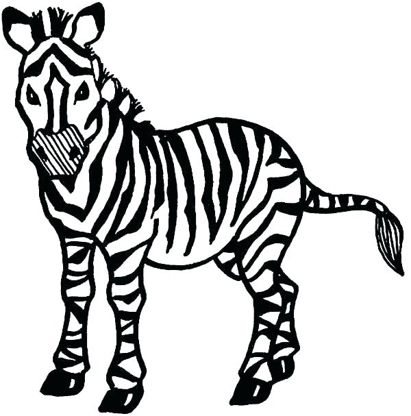 600x607 Coloring Book Zebra Ing Ing Zebra Coloring Pages Free Printable