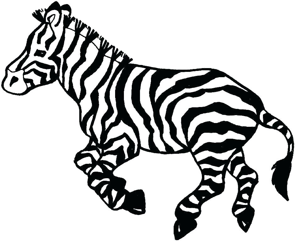 938x768 Zebra Coloring Pages Printable Zebra Coloring Pages Printable