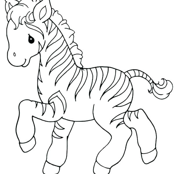 600x600 Zebra Printable