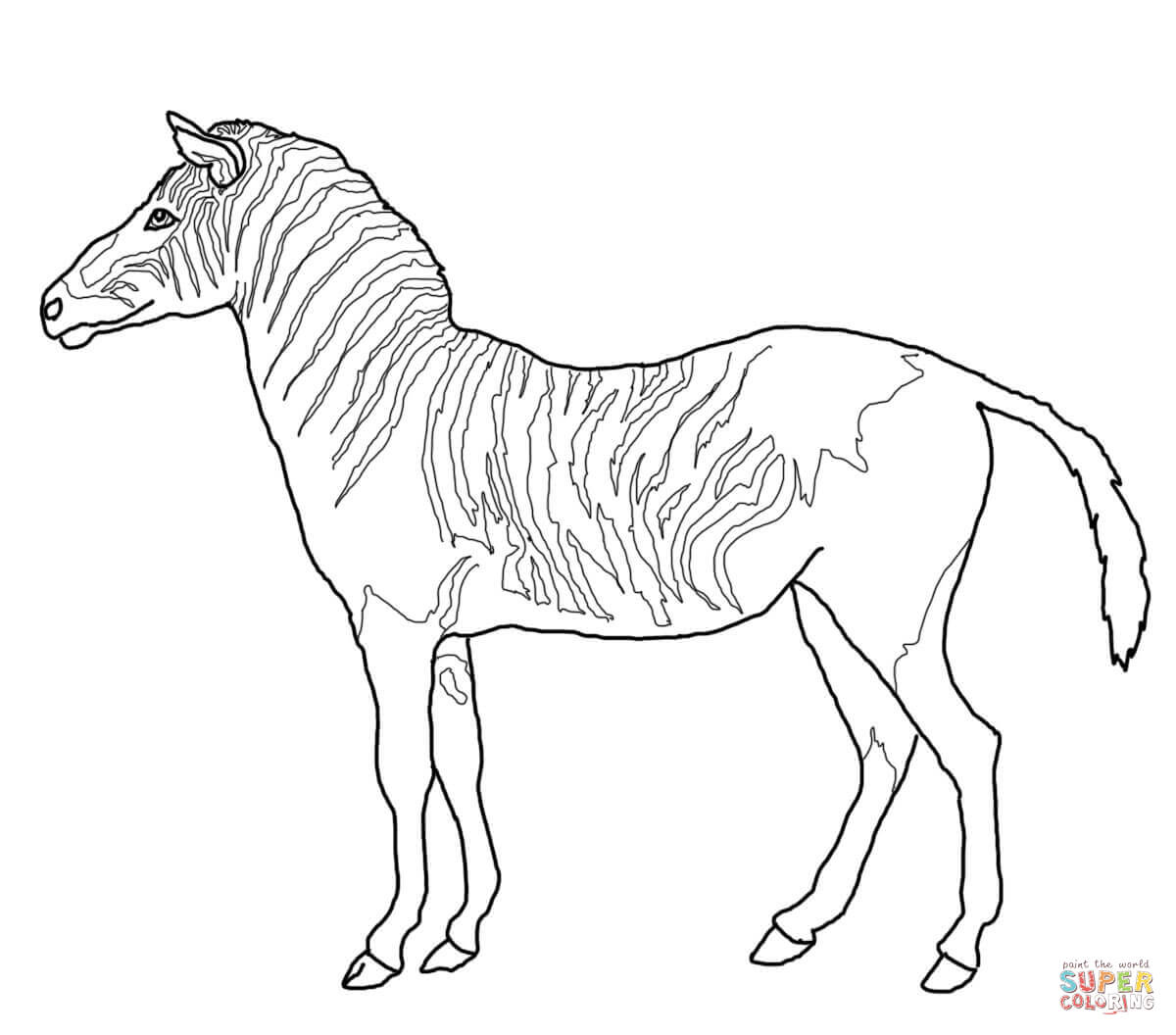 Zebra Coloring Pages Printable