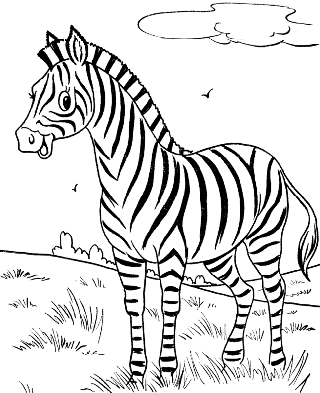 648x796 Printable Happy Zebra Coloring Page