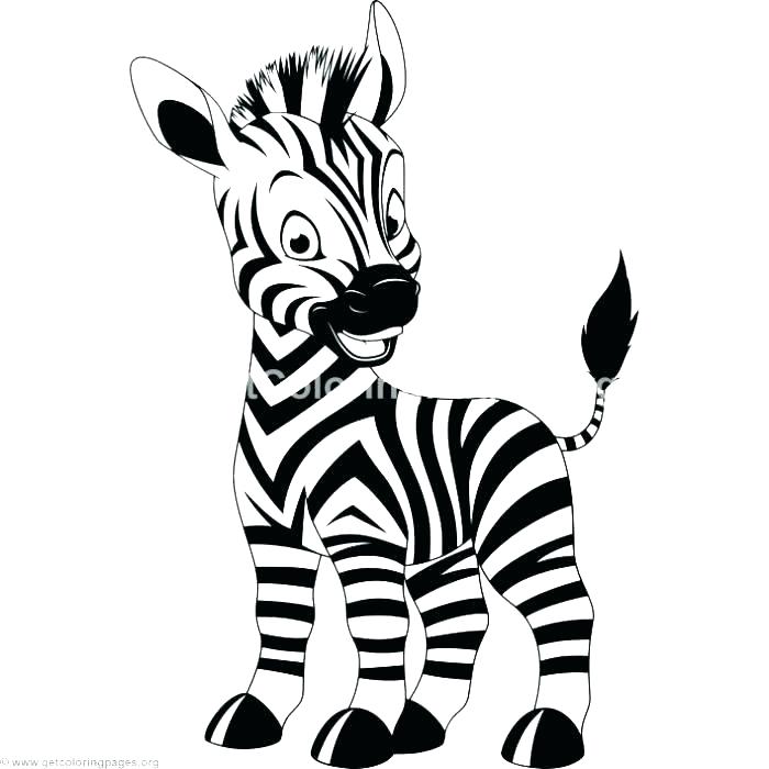 700x700 Zebra Coloring Pages Printable Zebra Coloring Pages Baby Zebra
