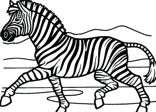 600x432 Zebra Coloring Picture Mesmerizing Zebra Coloring Pages