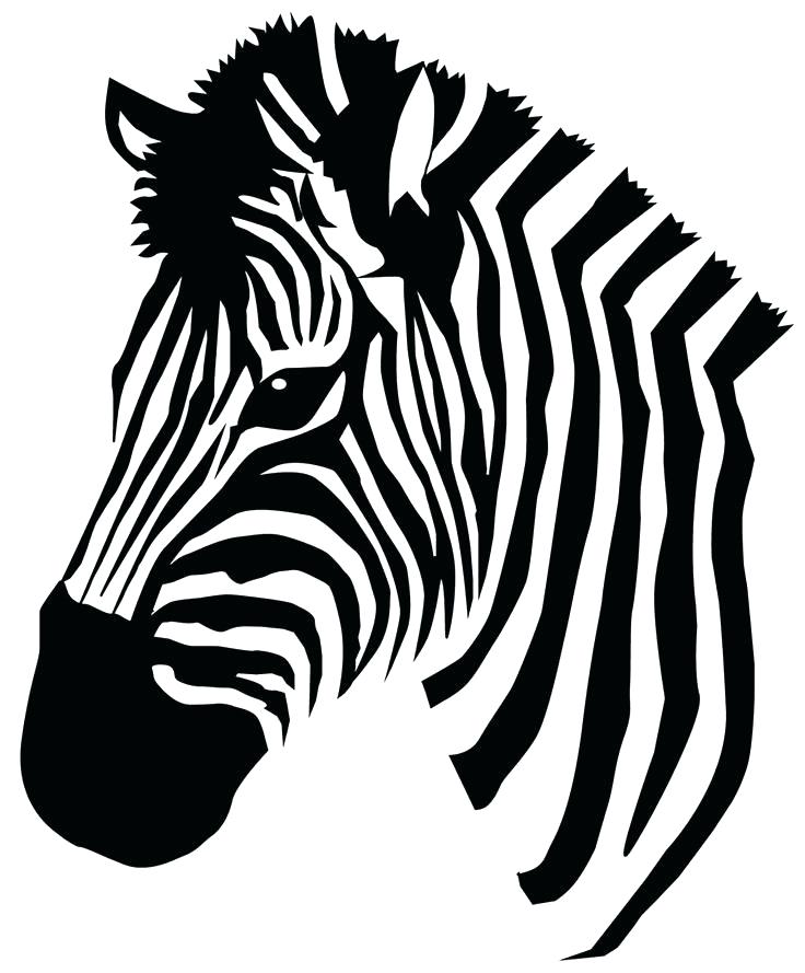 736x889 Zebra Pictures To Color Zebras Color Cute Zebra Backgrounds Zebra