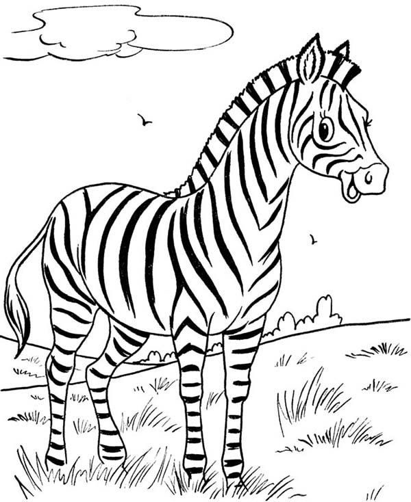 600x734 Zebra Coloring Page Jungle Clip Art And Craft Of Color