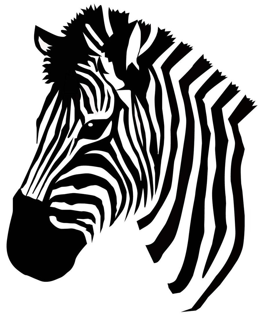 900x1088 Zebra Vector Craft Projects Freezer Paper, Mandala