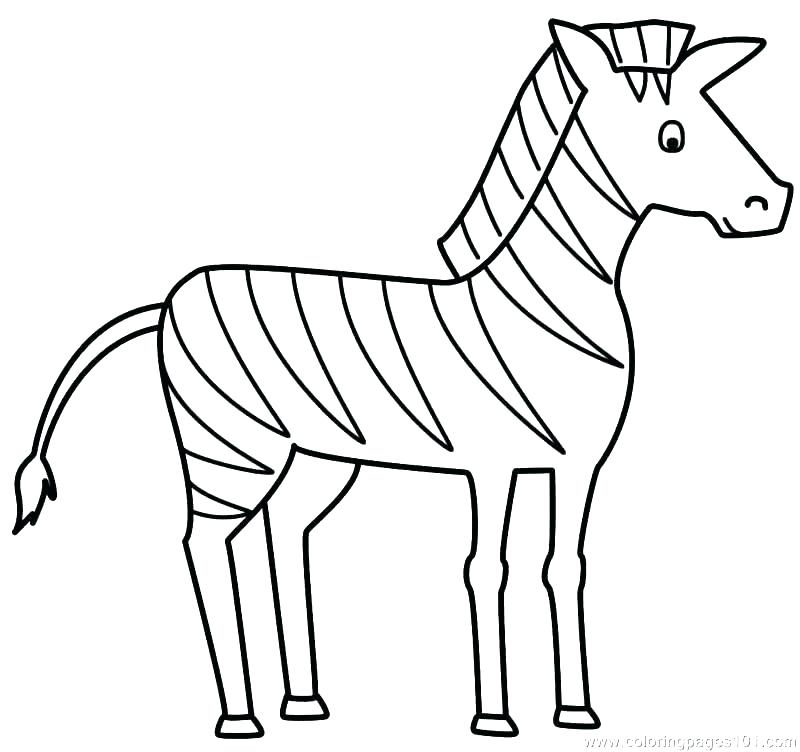800x752 Coloring Pages Of Zebras Coloring Pages Of Zebras Baby Zebra