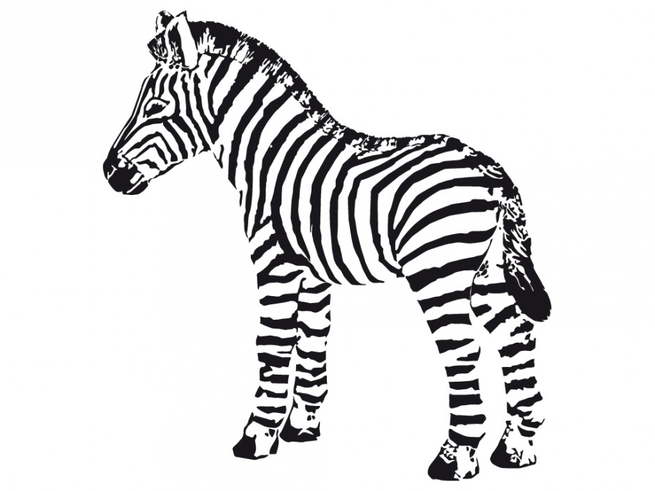 940x705 Cute Zebra Coloring Page 2264 Free 141662 Coloring Pages Of Zebras