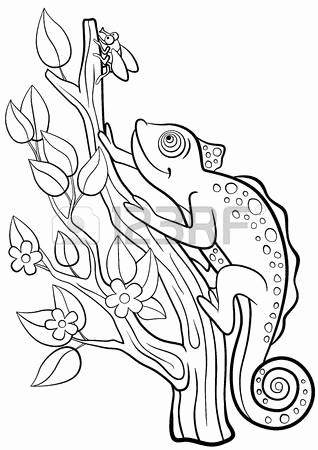 318x450 Zentangle Zebra Zebra Head Coloring Pages Ohmygirl.us