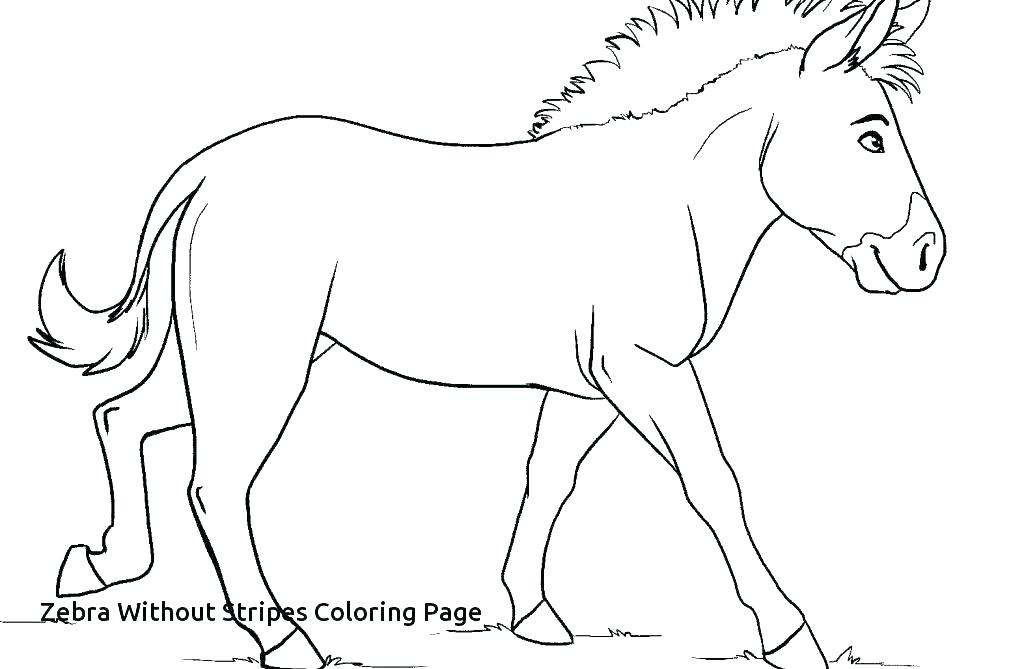 1024x669 Zebra Coloring Pages Impair.co