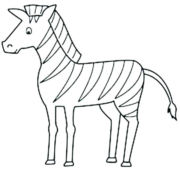 600x564 Zebra Coloring Pages