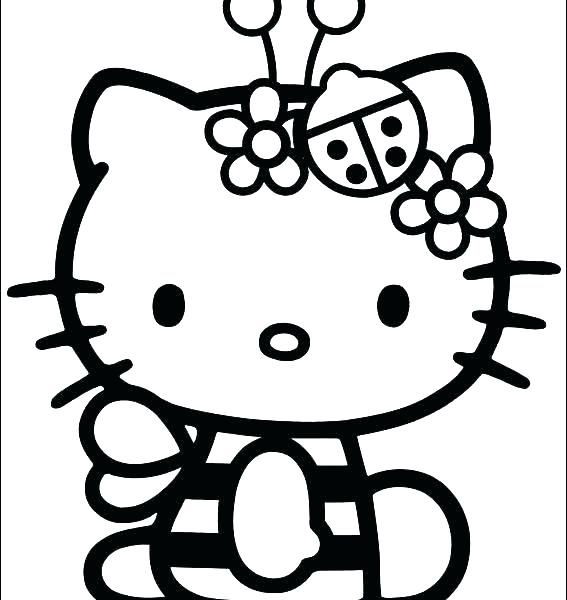 567x600 Free Zebra Print Coloring Pages Printable Coloring Zebra Print