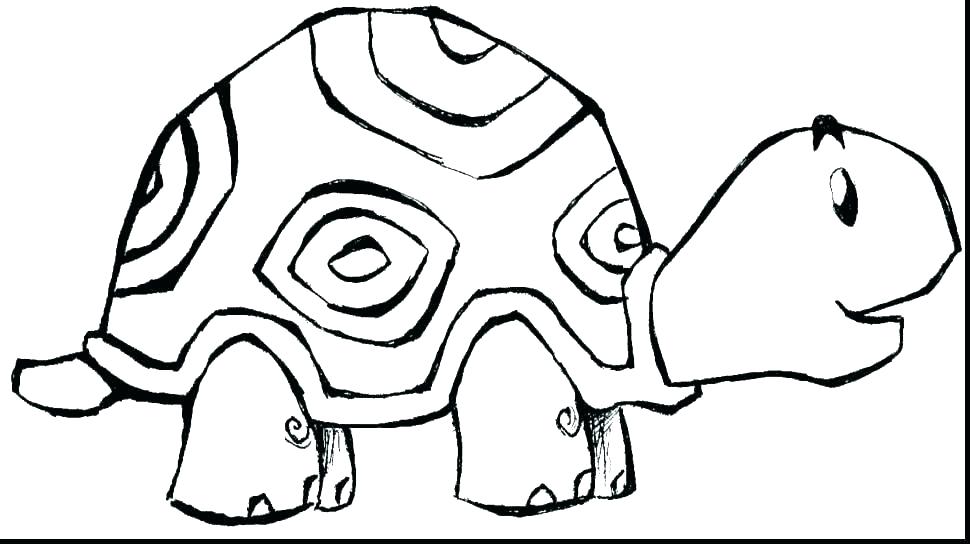 970x544 Zebra Coloring Pages Pdf Zebra Coloring Page Zebra Print Coloring