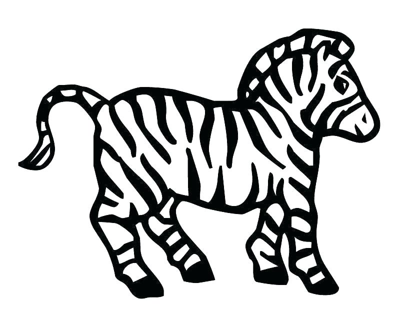 810x630 Zebra Print Coloring Pages Printable Zebra Print Stencil Coloring