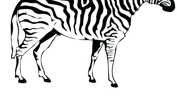 585x329 Zebra Print Coloring Pages Zebra Print Coloring Pages Zebra