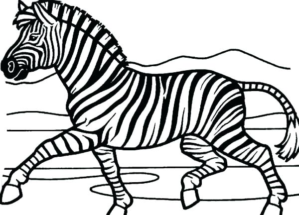 600x432 Free Printable Zebra Print Coloring Pages Zebra Coloring Sheets