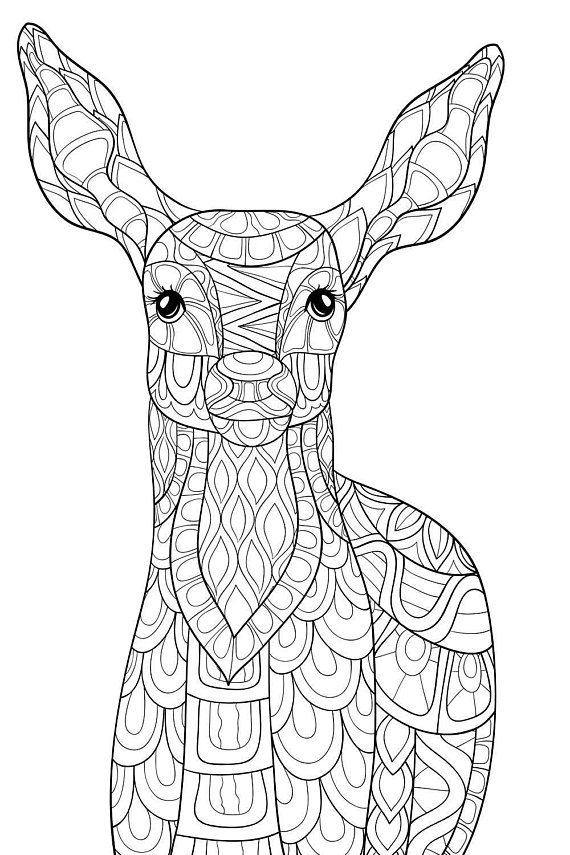 570x855 Adult Coloring Page Hind Deer Zen Tangle Relax Flowers Animals