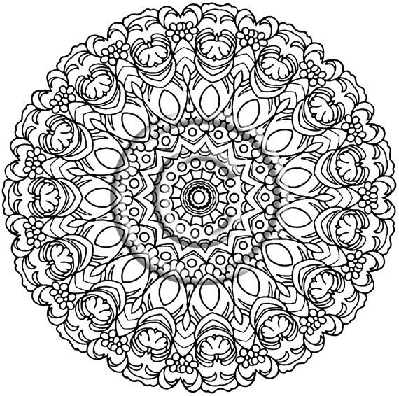 570x566 Pif