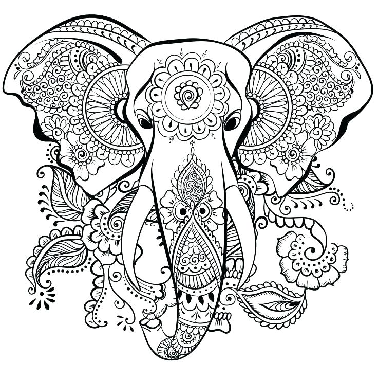 736x737 Zentangle Coloring Pages Elephant Animal Coloring Pages Zentangle
