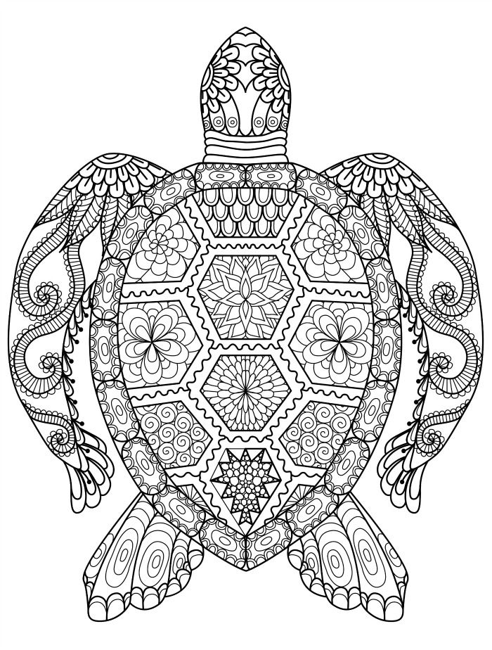 700x924 Sea Turtle Coloring Page For Adults For Free Download Crafty