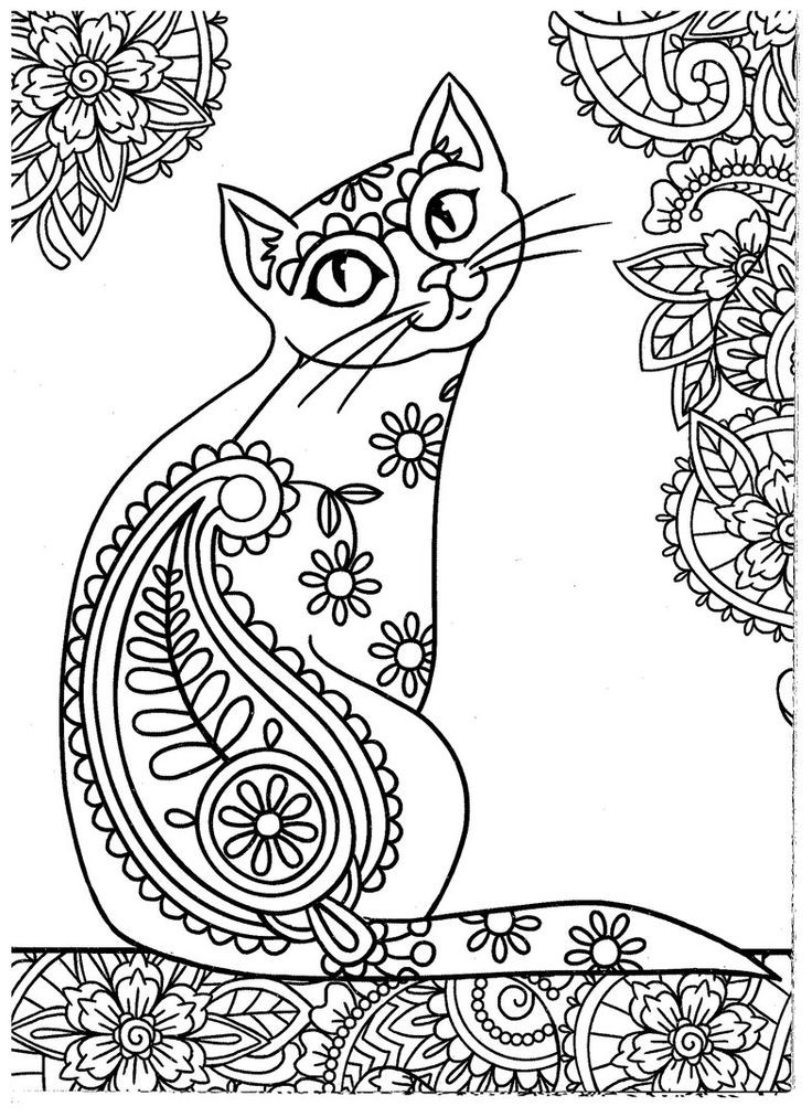 736x1012 Cat Color Picture Inspirational 1236 Best Art Cat Zentangle Images