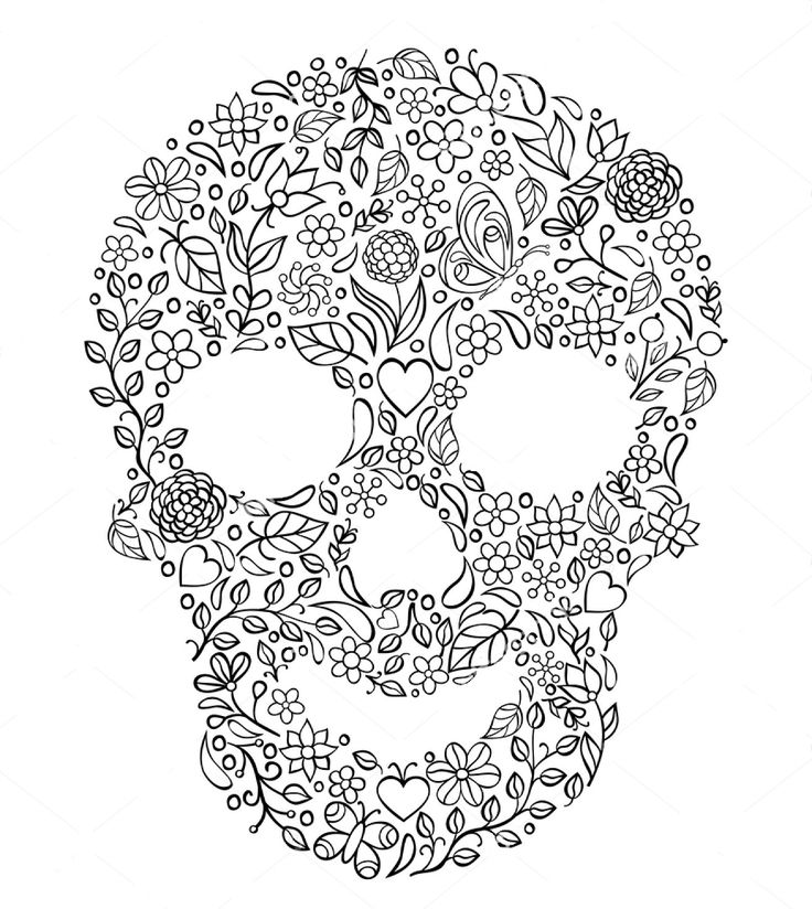 736x824 24 Best Skull Zentangle Coloring Images On Zentangles