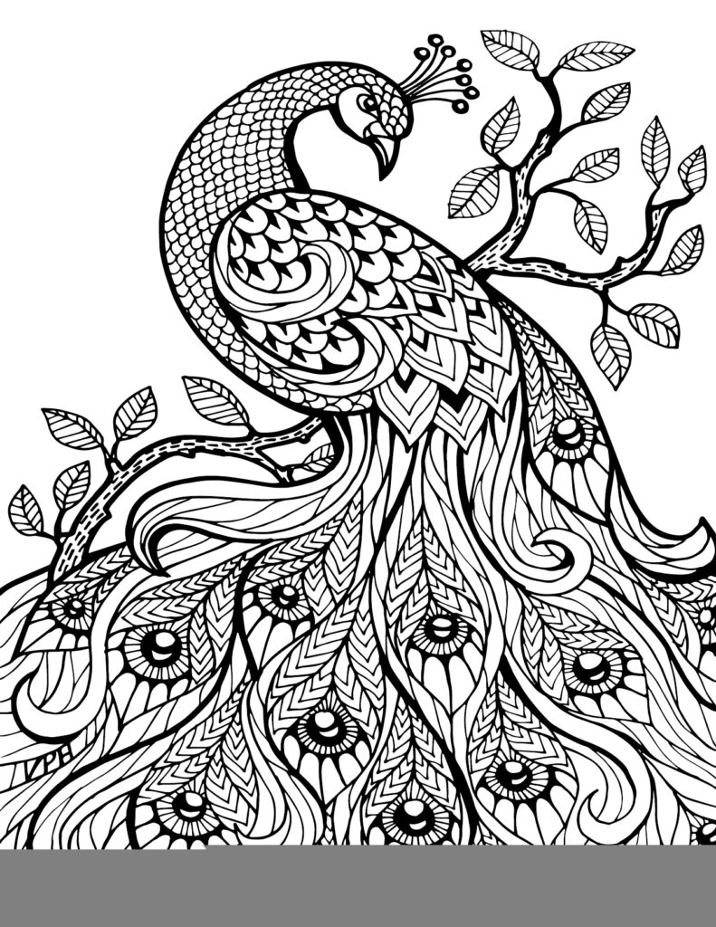791x1024 Coloring Pages Zentangle And Adult Coloring On Zentangle Adult