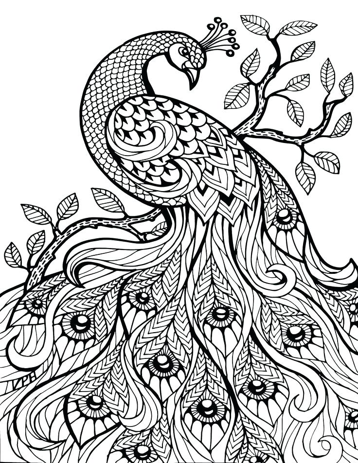 736x952 Zentangle Pictures To Color