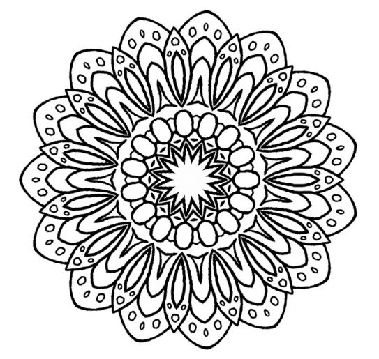 543x515 Small Flower Zentangle Mandala Doodle Drawing By Kathyahrens