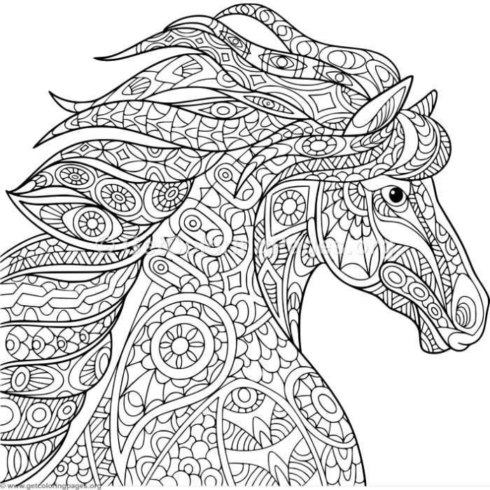 700x700 Free Downloads Zentangle Horse Head Coloring Pages
