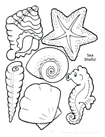 364x473 Sea Shells Coloring Pages Seashell Drawing Lovely Zigzag Scallop