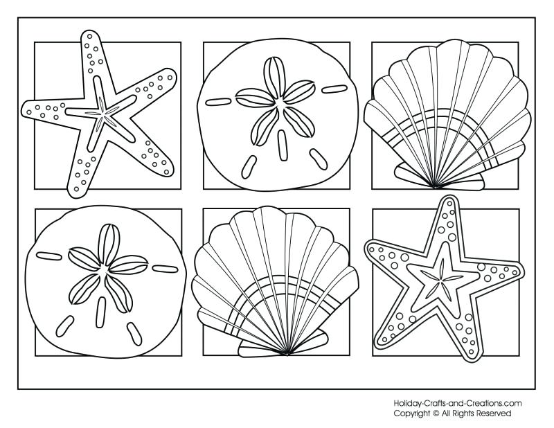 800x618 Suddenly Seashell Coloring Pages Sea Shells Page Printable 4