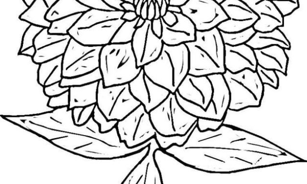 627x376 Coloring Pages Flowers, Printable For Kids Amp Adults, Free To Download
