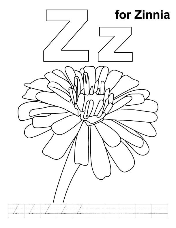 610x792 Letter Z For Zinnia Coloring Pages Preschool