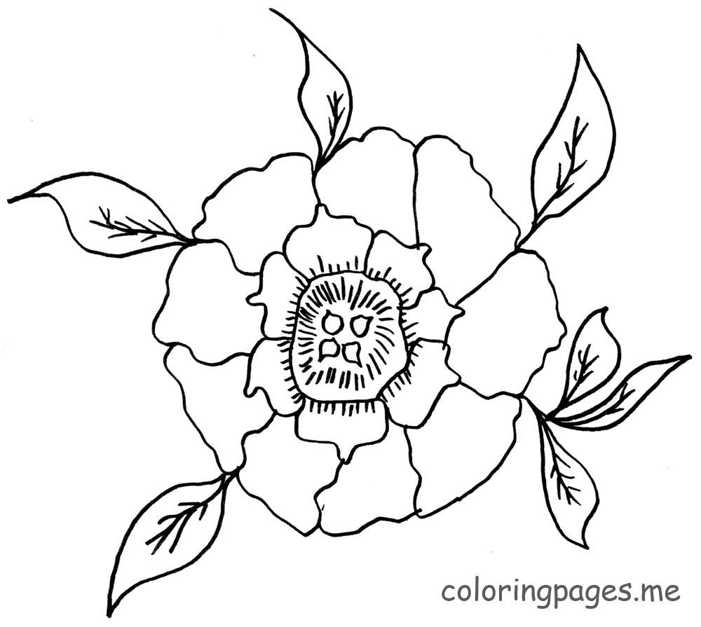 1000x895 Peony Coloring Pages Art Journal Page Ready For By And Parakeet