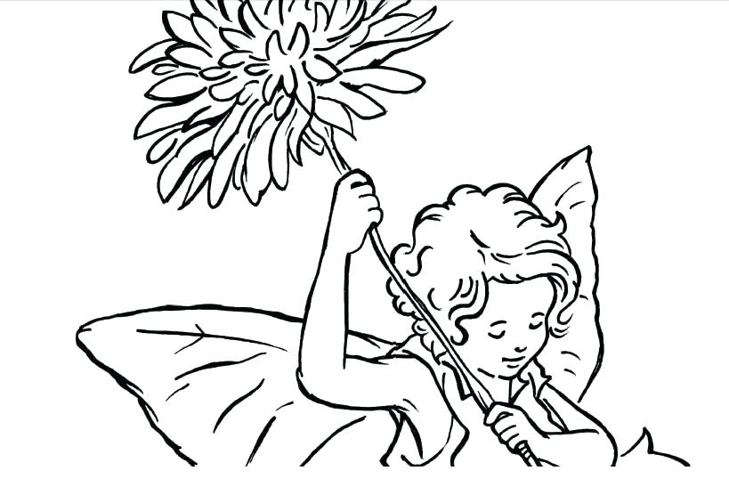 819x547 Coloring Pages Online Flowers Flower Fairy Zinnia Page Unique