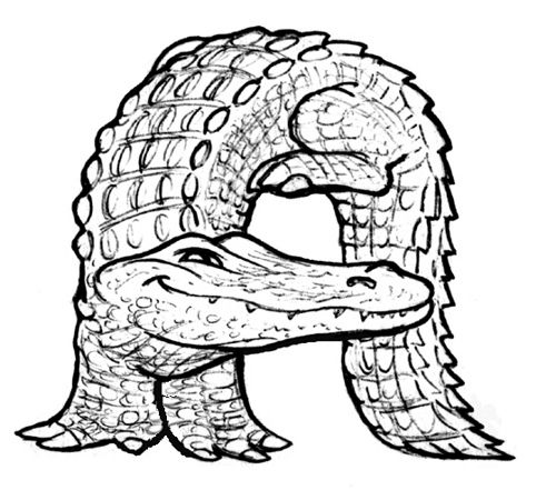 500x450 Alligator By Llyn Hunter, Bobcat Publishing, Via Aligator