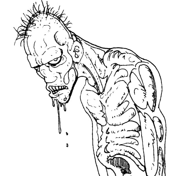 600x609 Zombie Pirate Coloring Pages For Adults Online