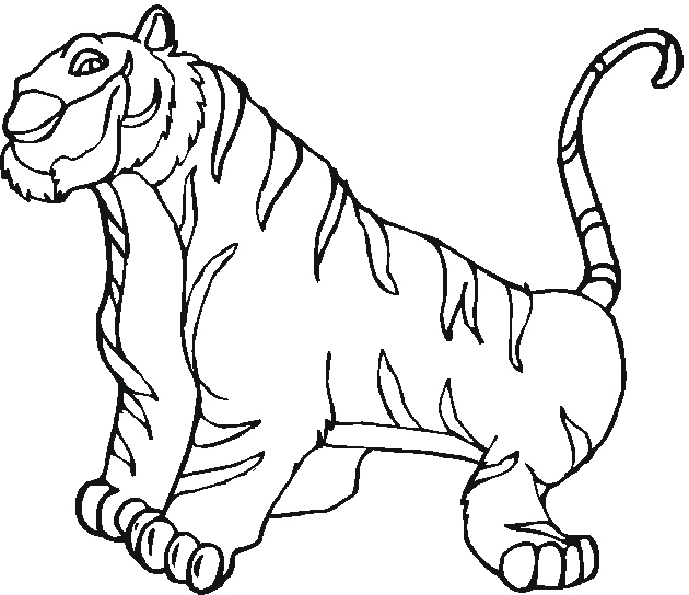 Zoo Animal Coloring Pages