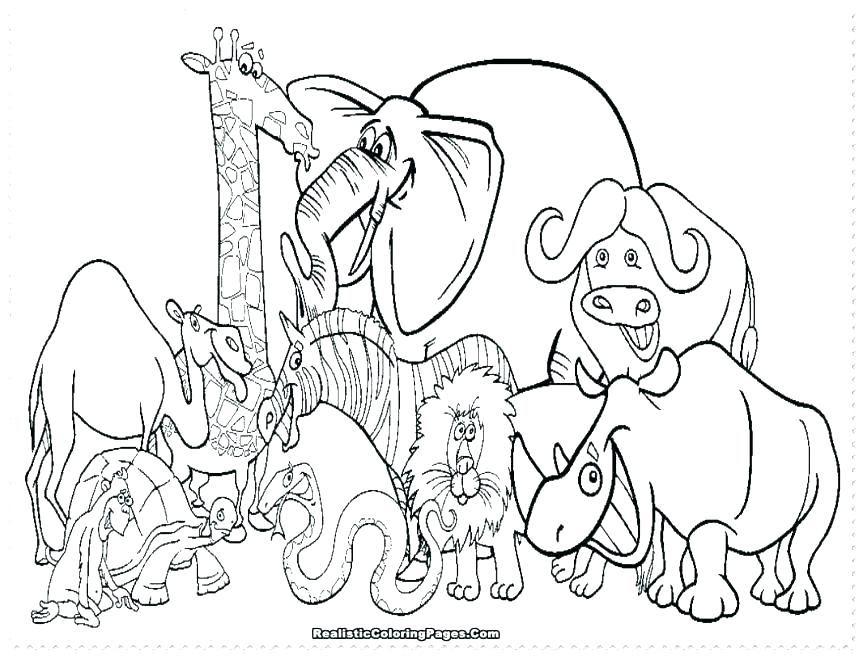863x656 Animal Coloring Pages Preschool