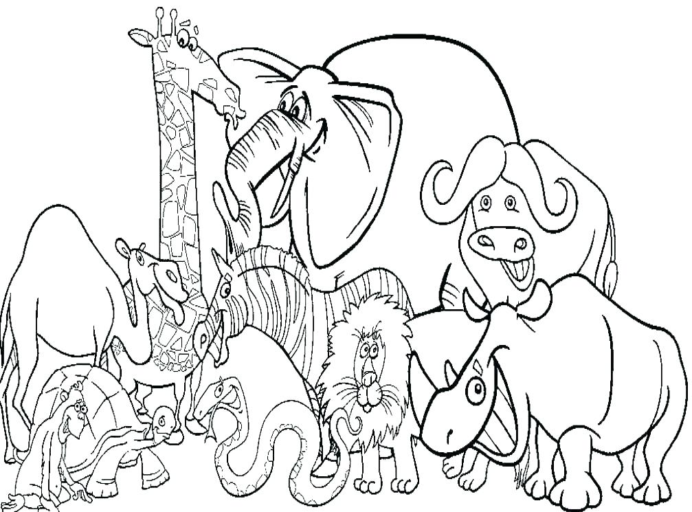 1007x745 Zoo Animals Coloring Pages Zoo Animals Coloring Pictures Coloring