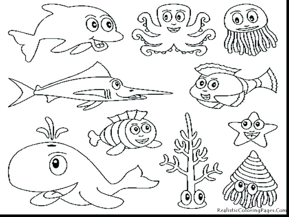970x727 Zoo Coloring Animals Games Kids Coloring Animal Coloring Pages