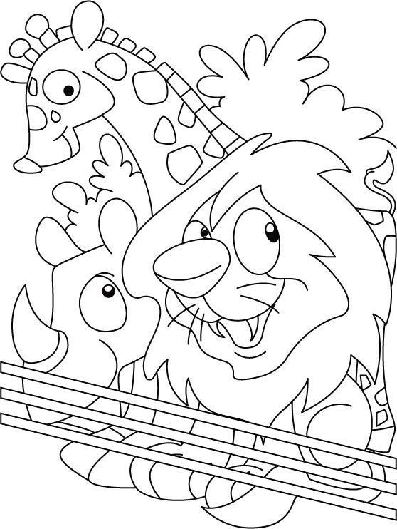 558x742 Zoo Coloring Pages
