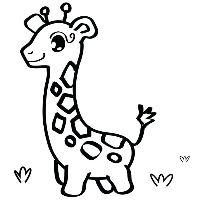 700x723 Cute Baby Zoo Animals Coloring Pages Page Wild