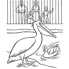 230x230 Top 25 Free Printable Zoo Coloring Pages Online