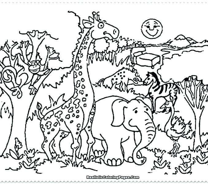 678x600 Charming Zoo Coloring Pages To Print Zoo Coloring Pages Amazing